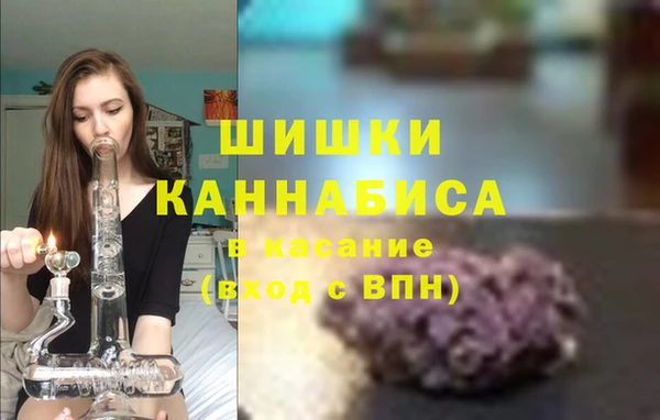 дживик Верея