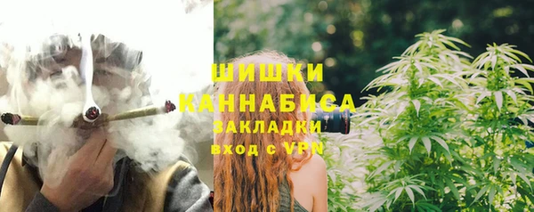 дживик Верея