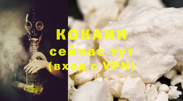 дживик Верея