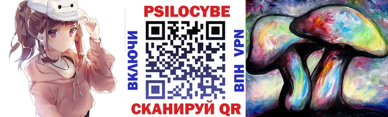 Псилоцибиновые грибы Psilocybe  Осинники 